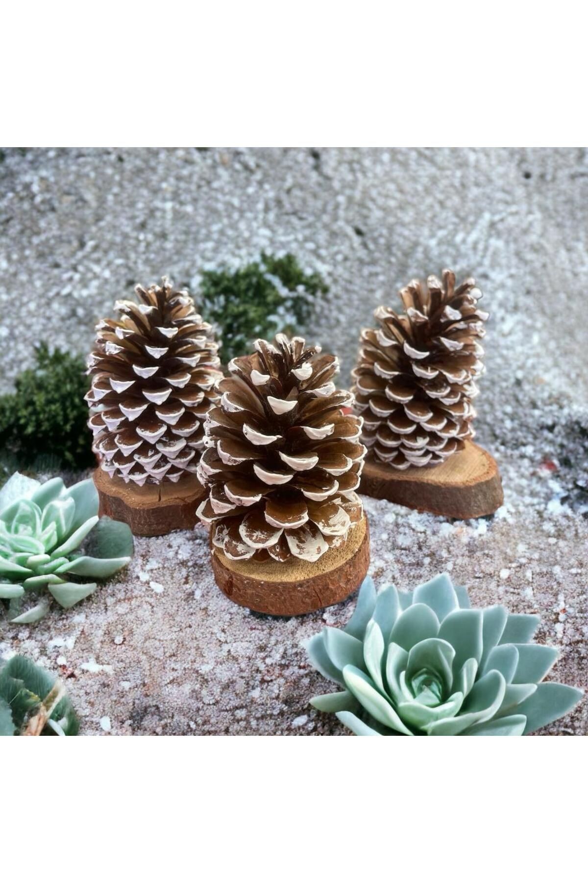 NEW YEAR'S SET OF 3 NATURAL NATURAL TREE CHRISTMAS DESKTOP BARNISH DECORATION