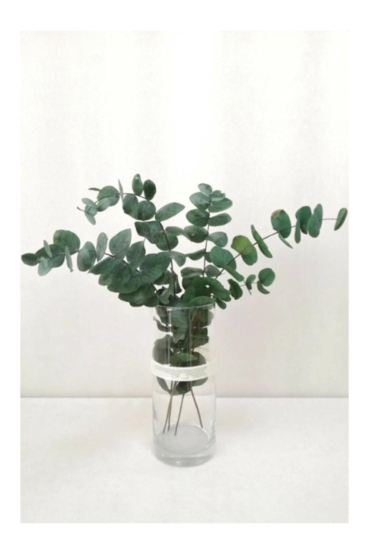 Large Blue Freezing Eucalyptus Bunch (40-50CM)