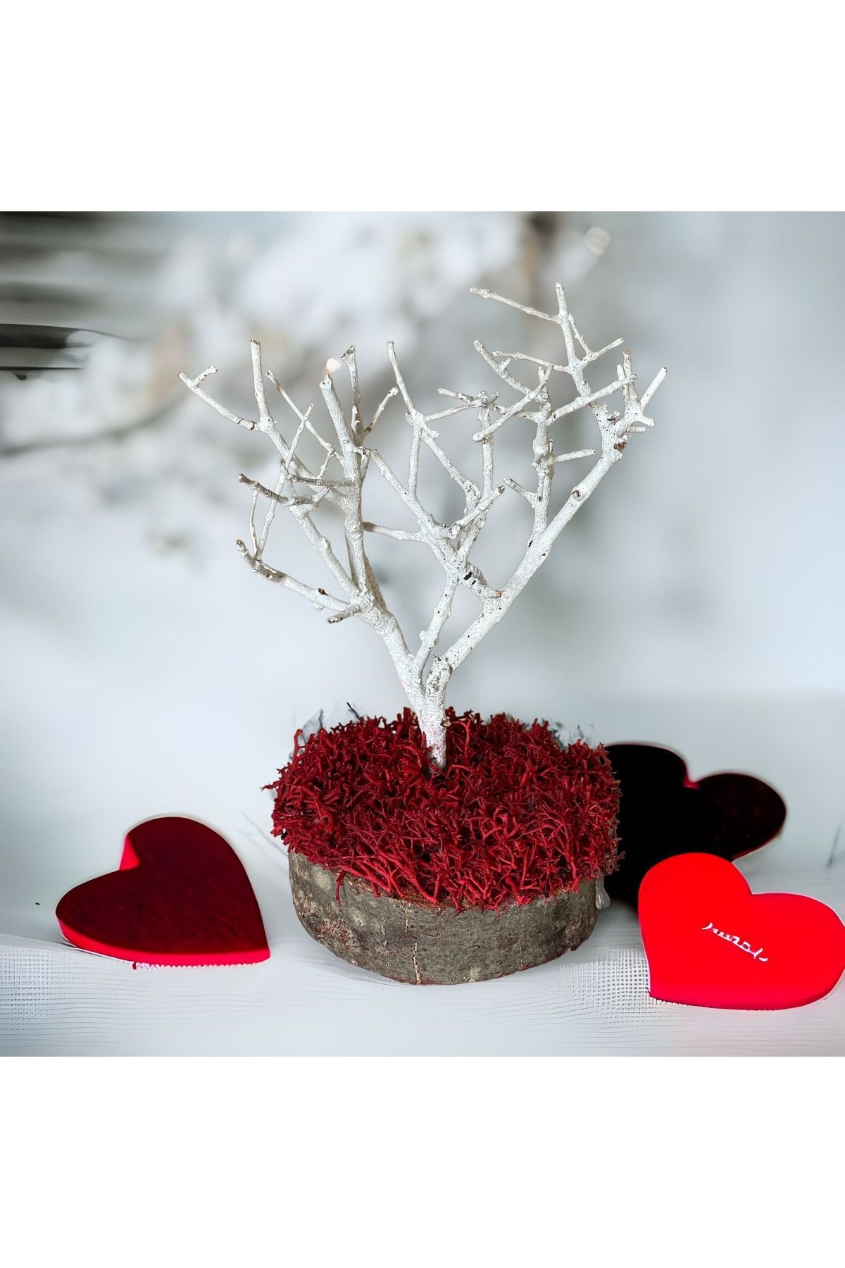 Miniature Natural Freezing Gift Wish Tree Natural Norwegian Moss Oak Tree