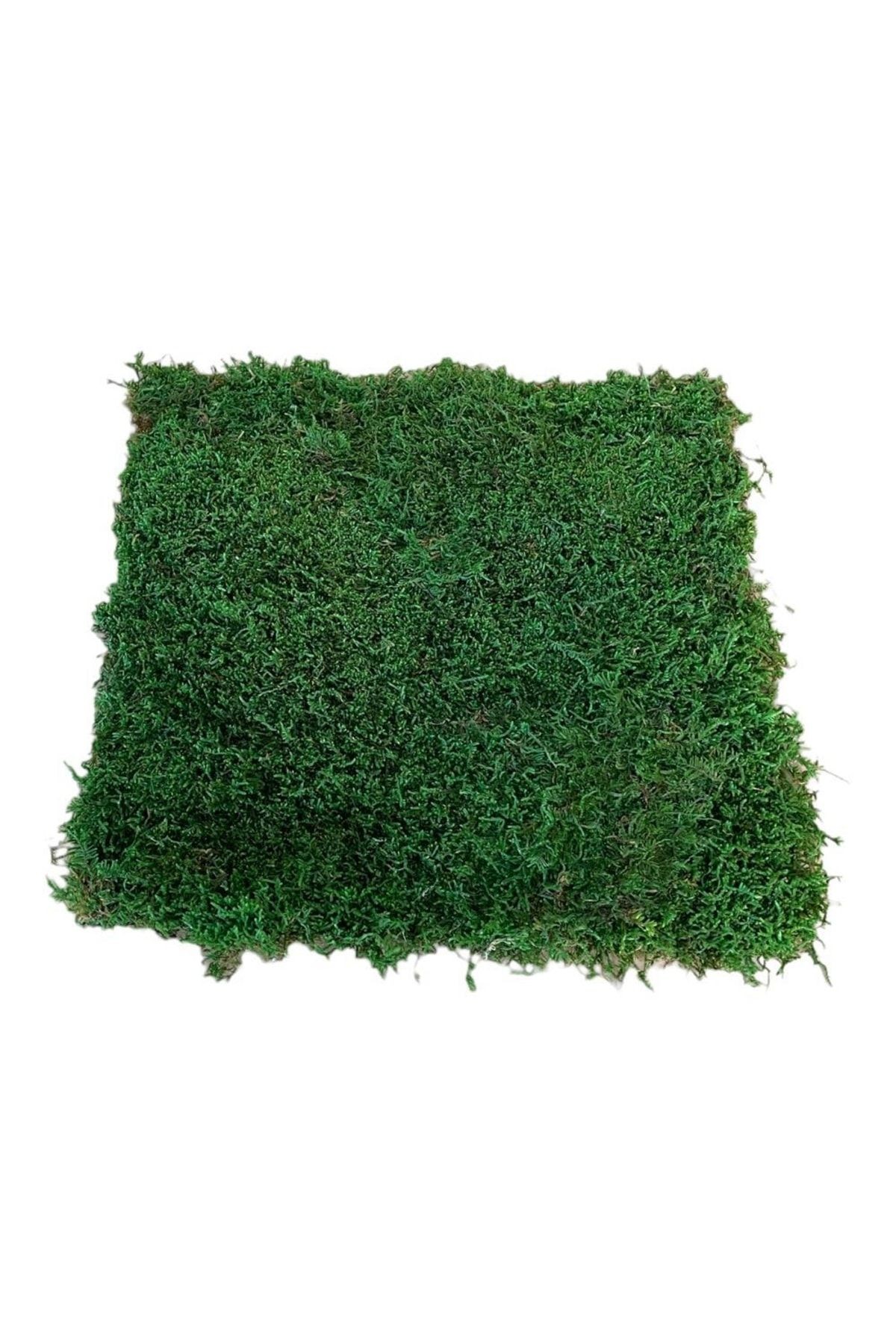 Multi-Purpose Preserved Moss Preserved, Freezing Green 40x40cm Garden, wall, flower pot, floor