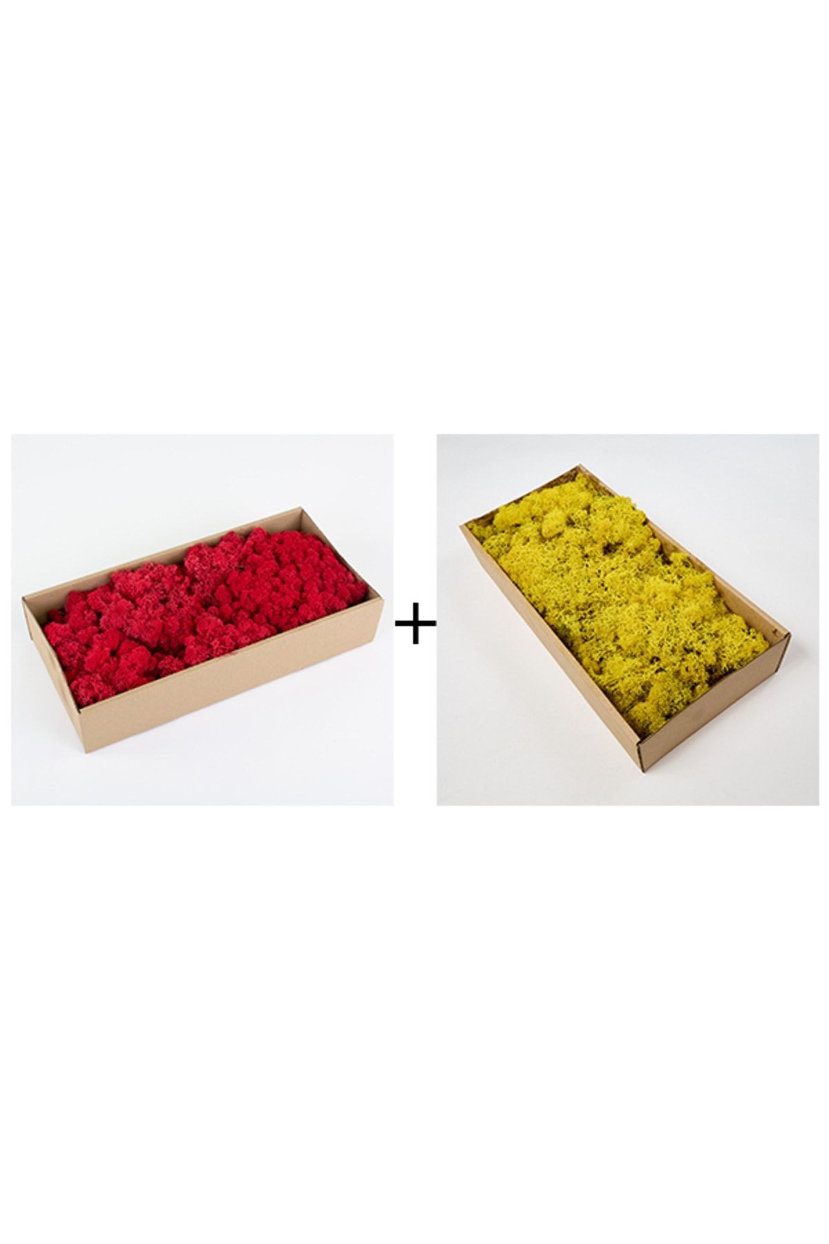 Reindeer Moss Kırmızı-sarı 2'li Set Şoklanmış Ithal Norveç Yosunu