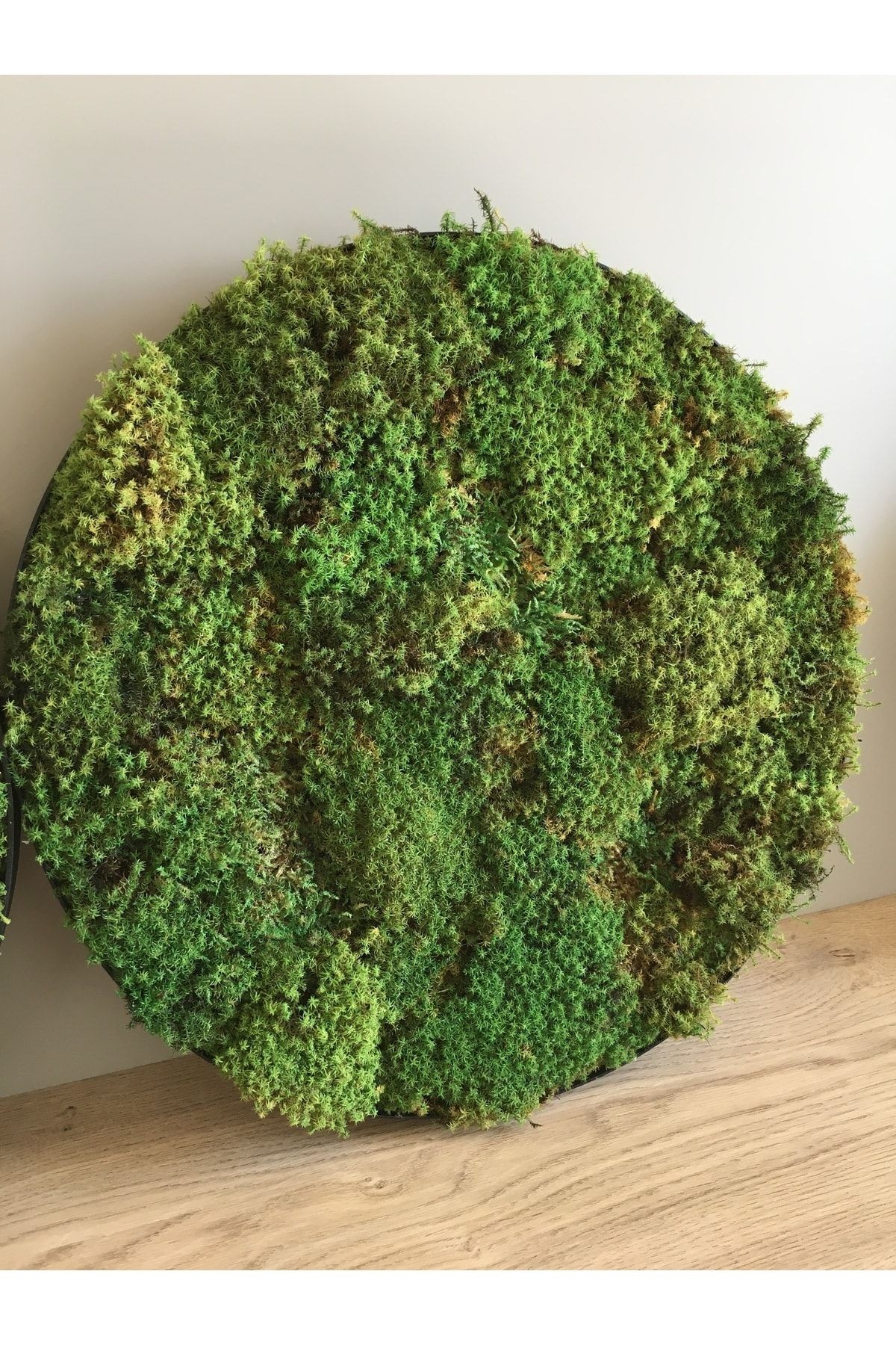 Moss Table