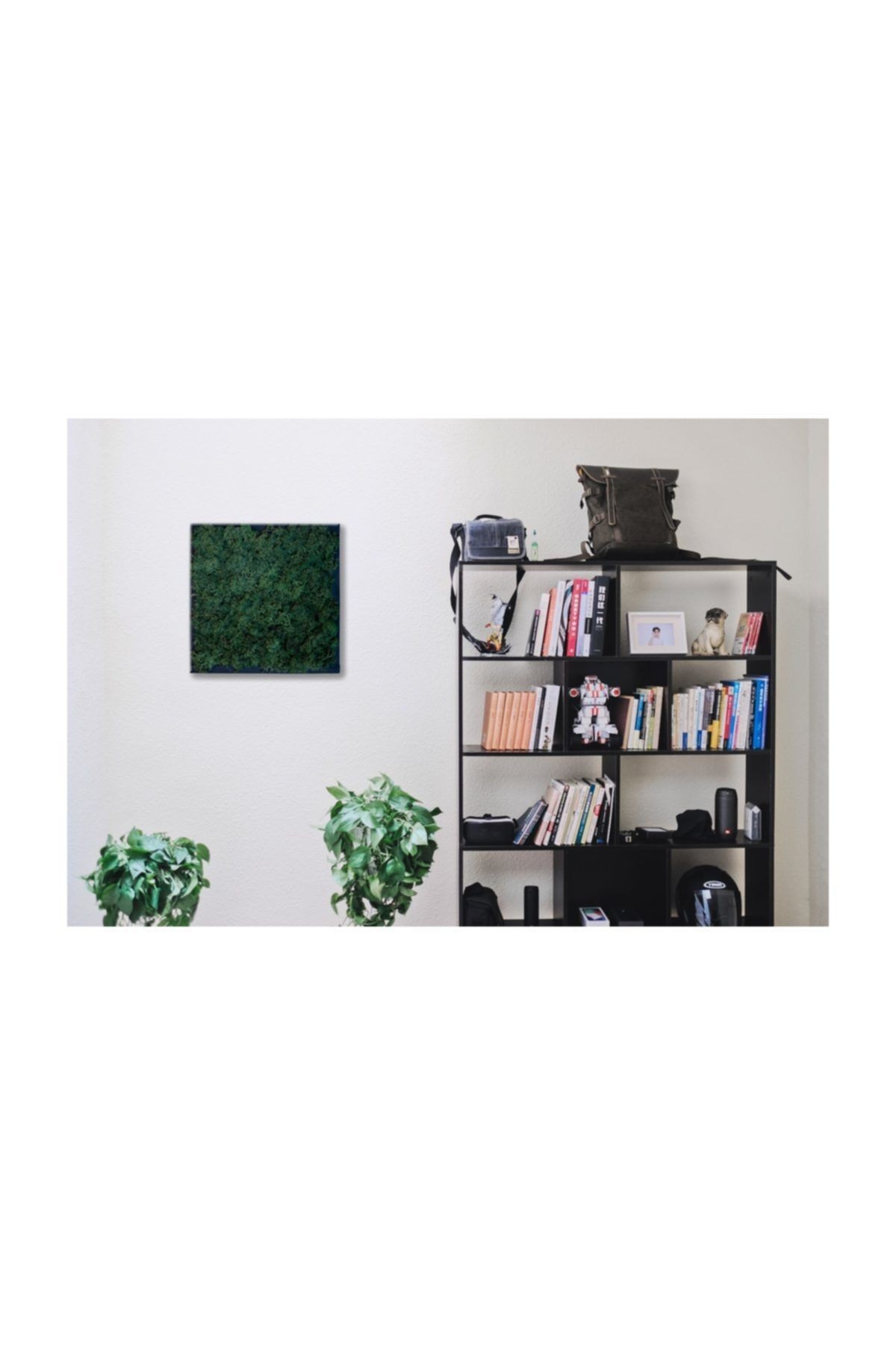 Dark Green Live Moss Painting (30cmx30cm)