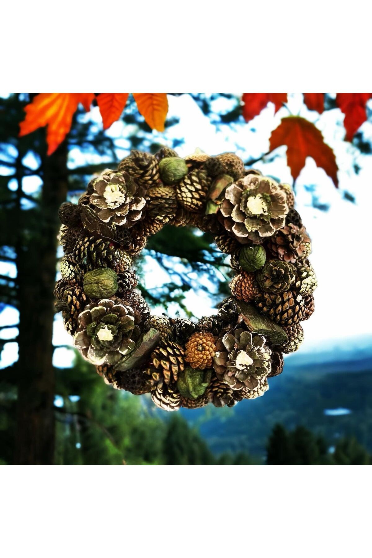 Door Ornament 30cm Green Walnut Wreath - New Year Christmas Party Entertainment Hobby Handmade Natural