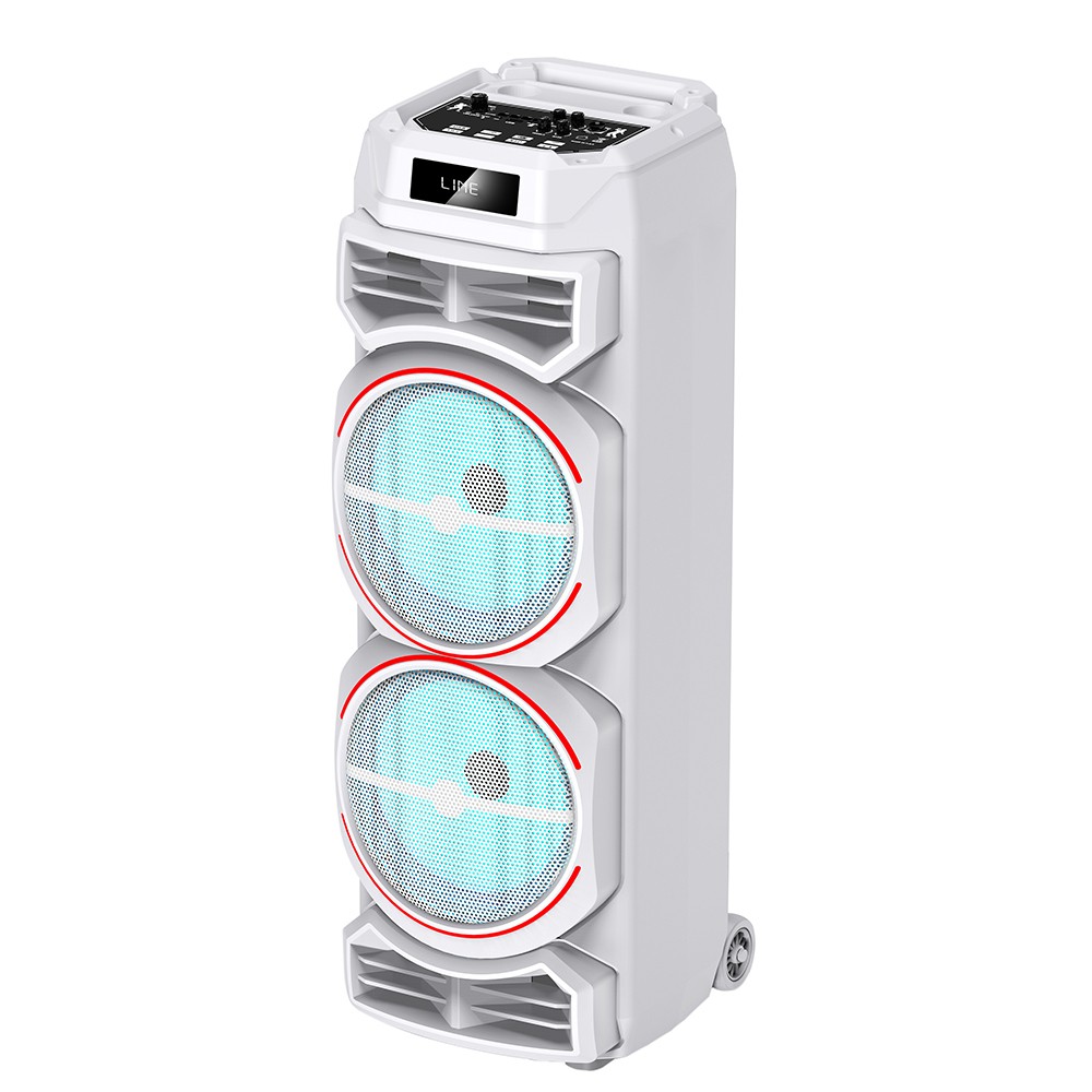 Zore GD-2828 Dijital LED Göstergeli Mikrofonlu RGB TWS Çift 8 inç Stereo Bass Kablosuz Karaoke Hoparlör