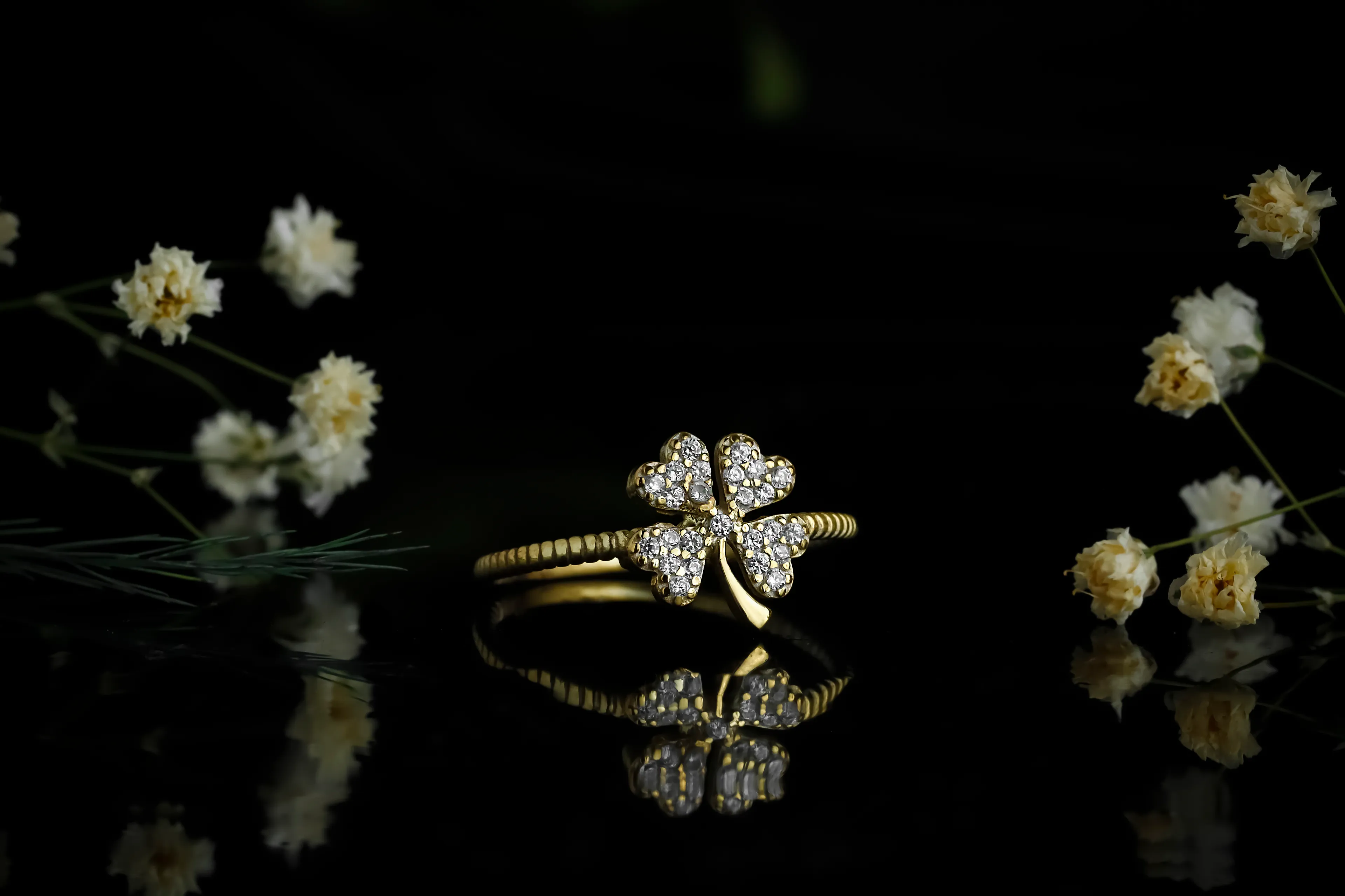 Şansın Işıltısı Yüzük