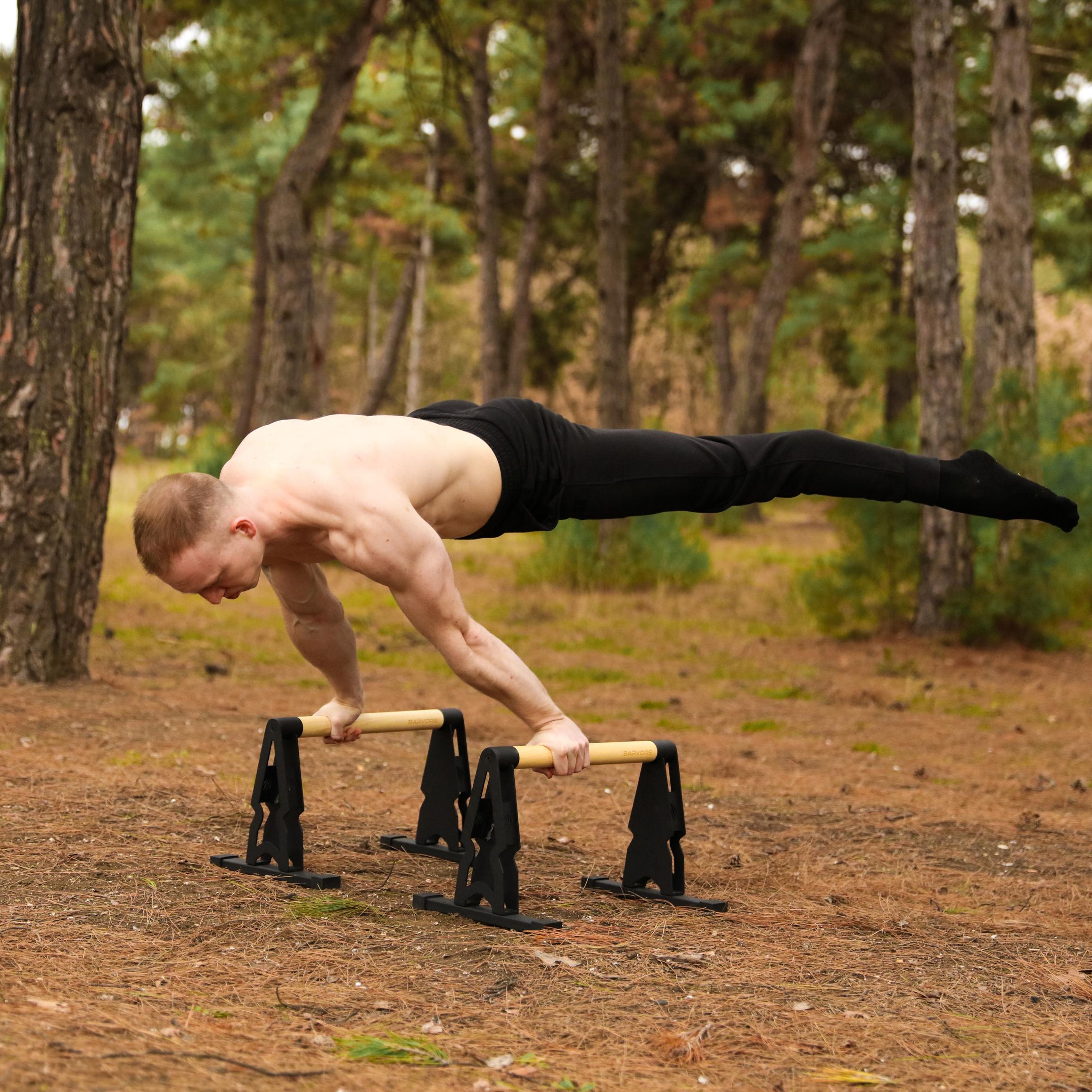 BIG BEAR PARALLETTES