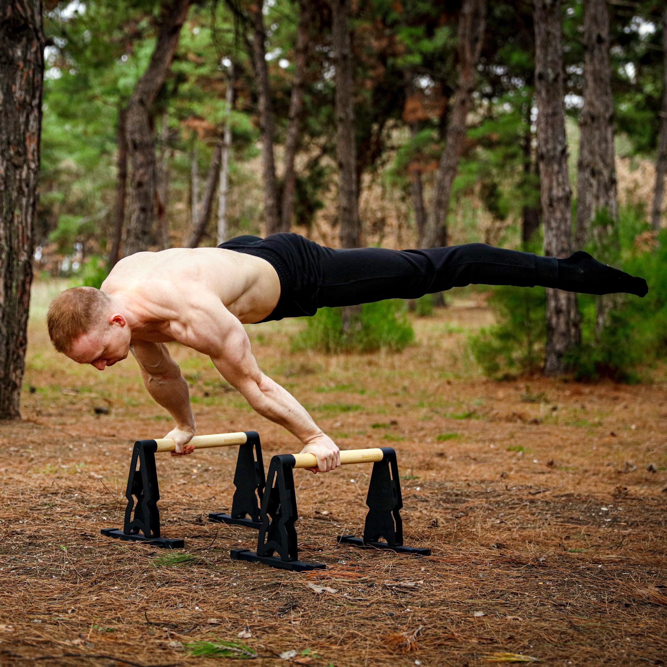 Big Bear Parallettes