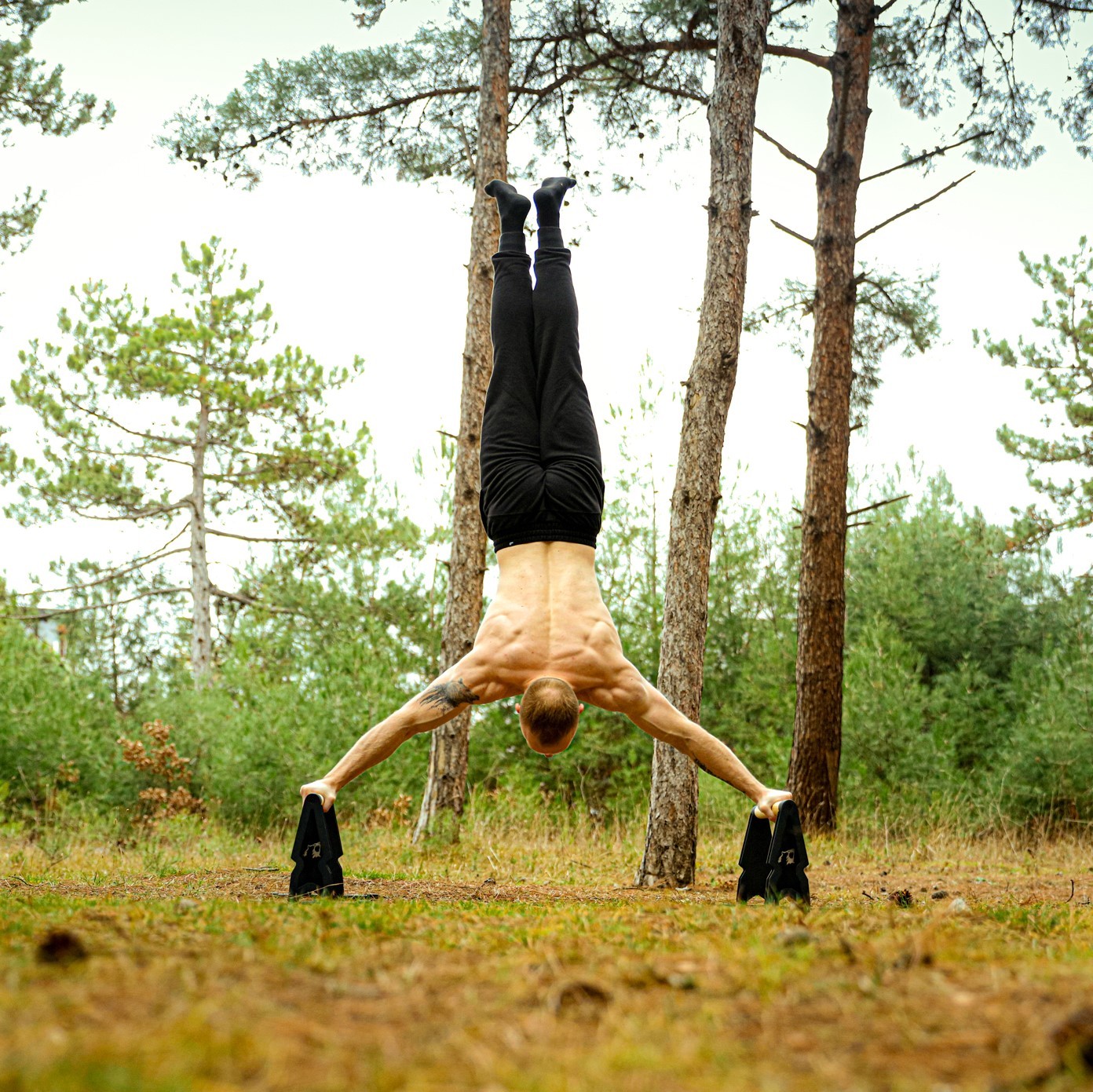 Big Bear Parallettes