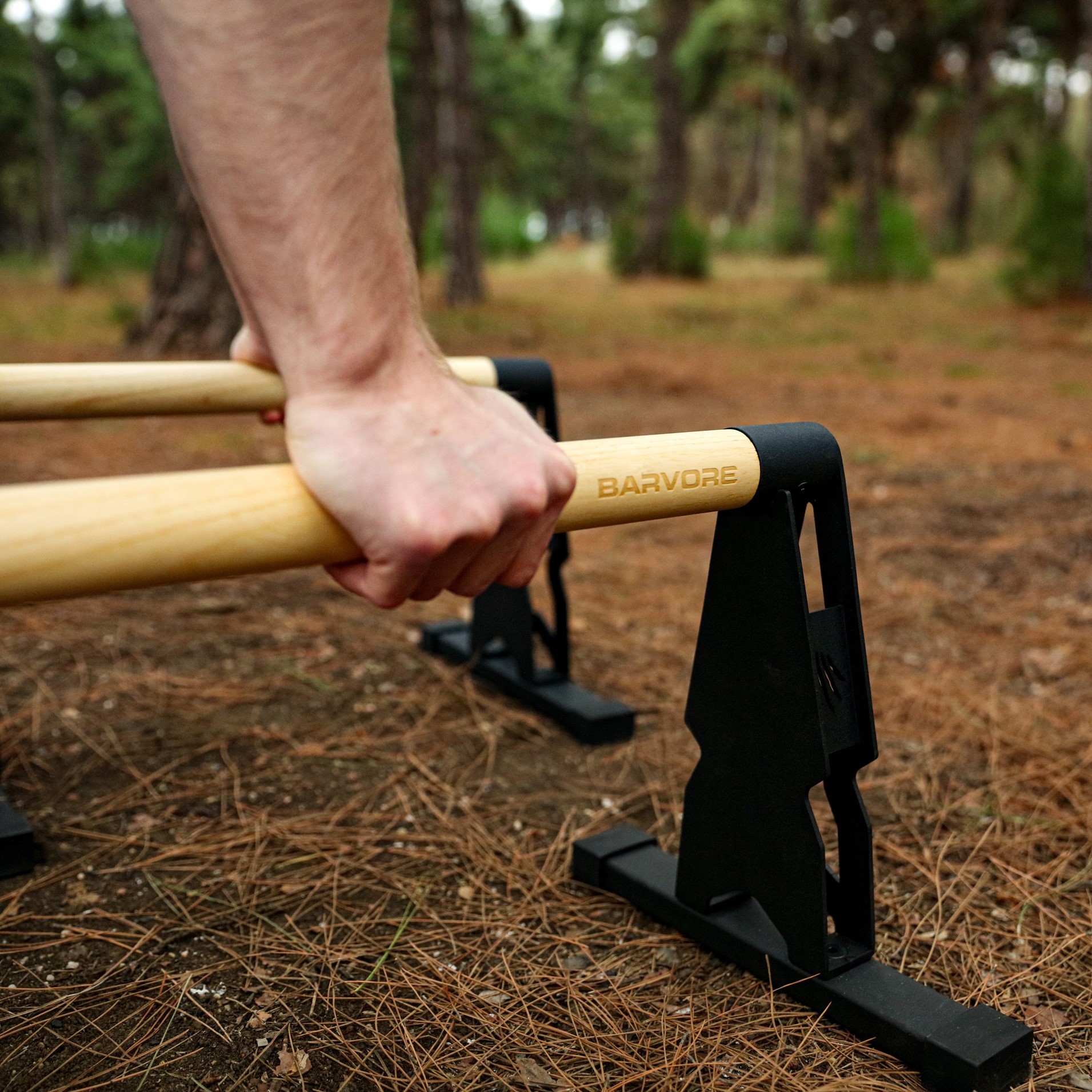 Big Bear Parallettes