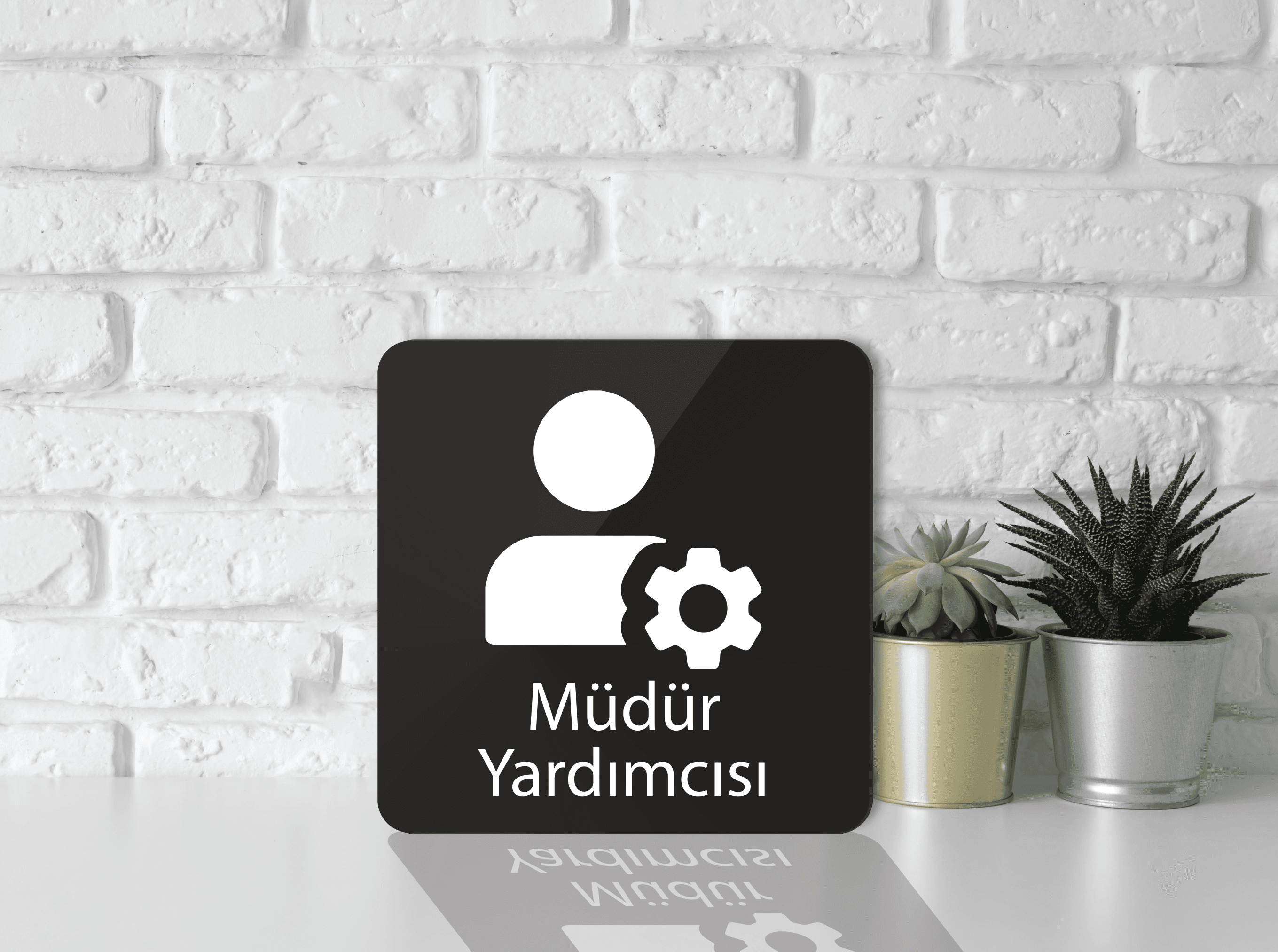 Müdür Yardımcı