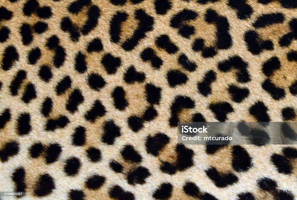 leopar desen