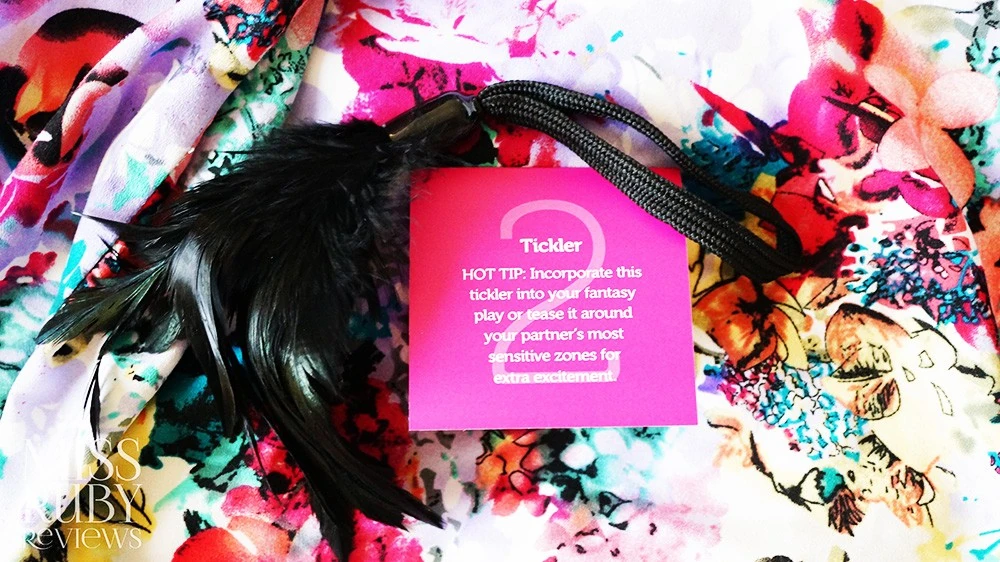 We-Vibe Discovery 10 Parça Zevk Seti