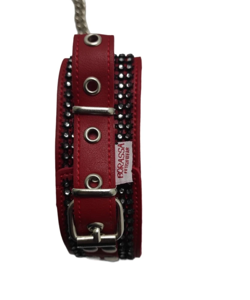 Kırmızı Deri Boyun Tasması