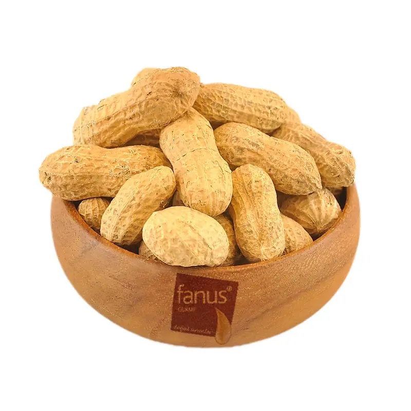 Kabuklu Yer Fıstığı 500g - 2