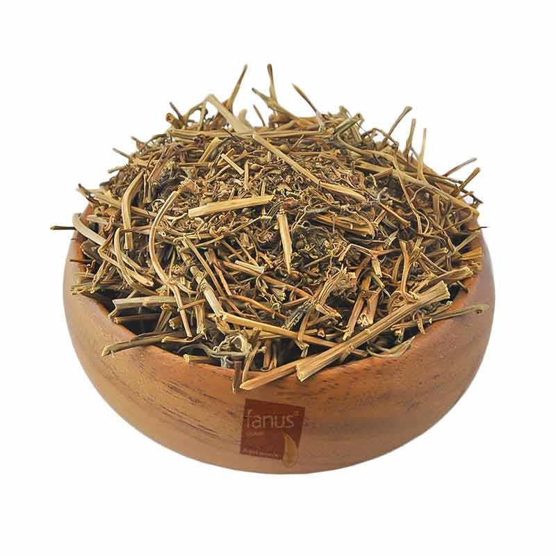 Yoğurt Otu 100G