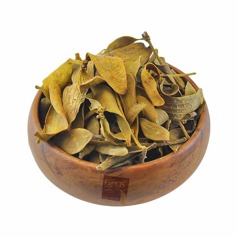 Ökse Otu 100G