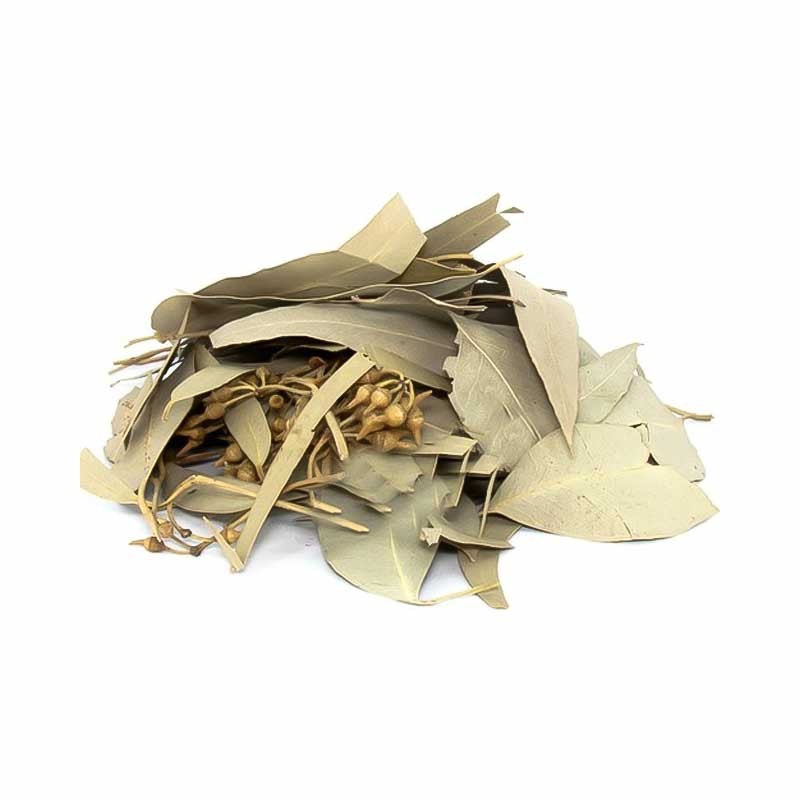 Okaliptus 100G