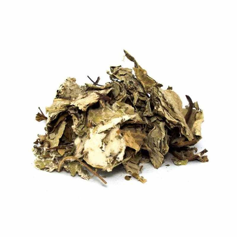 Öksürük Otu (Deve Tabanı) 100G