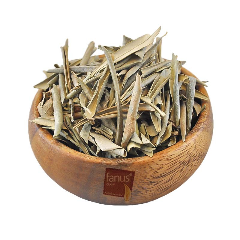 Zeytin Yaprağı 100G