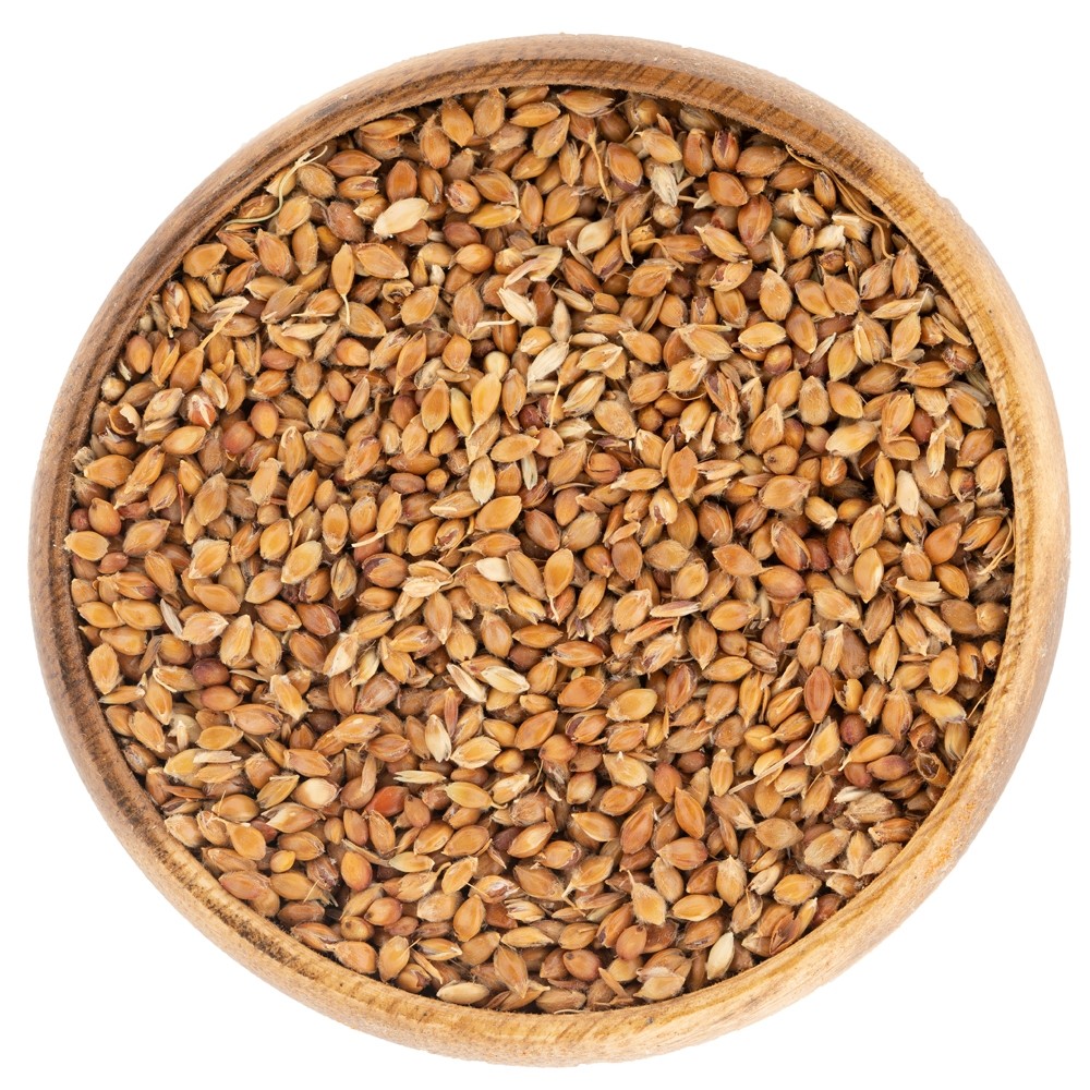 Süpürge Tohumu 100G