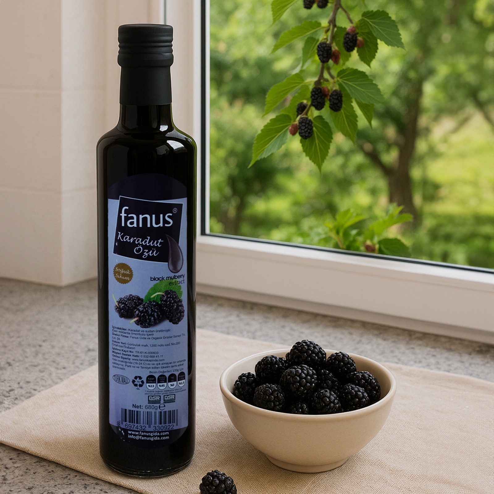 Fanus Karadut Özü 680g
