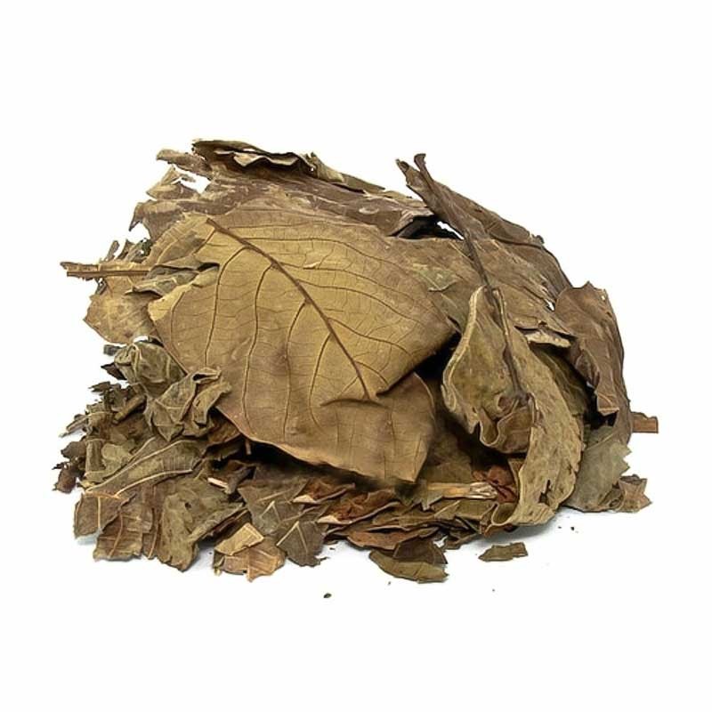 Ceviz Yaprağı 100G
