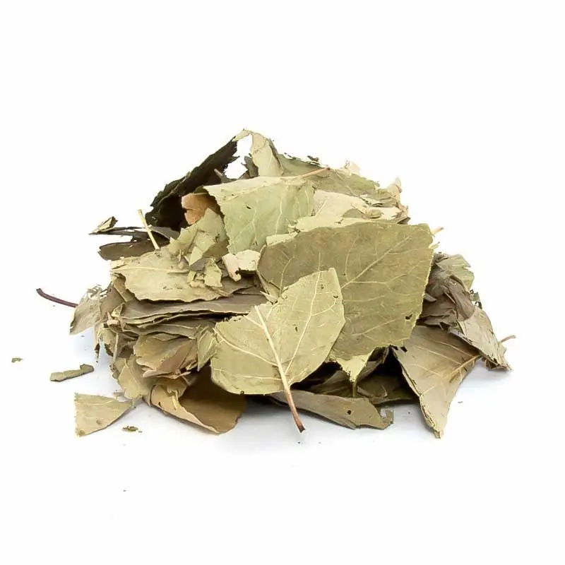 Ayva Yaprağı 100G