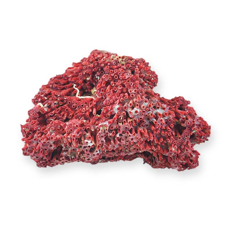 Kardeş Kanı 100G