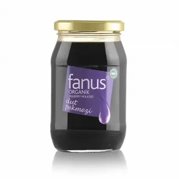 Fanus Organik Dut Pekmezi 450g - 2