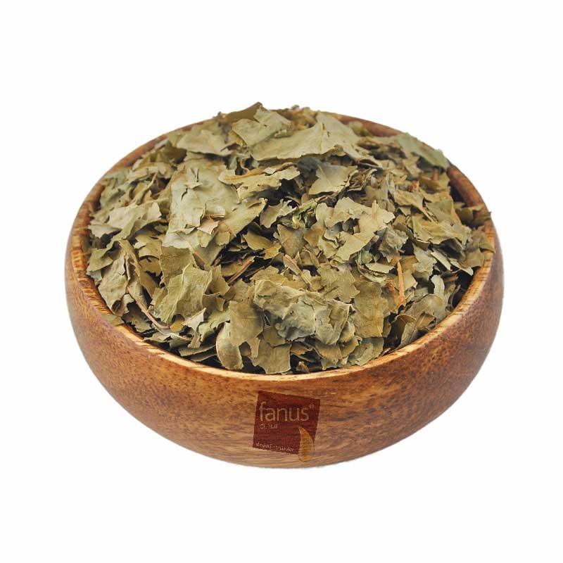 Tetra 100G