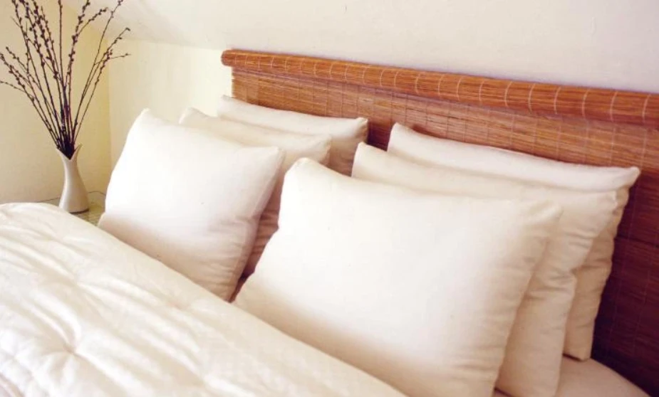 %100 Organik Karabuğday Yastık, Boyun Fıtığı, Boyun Ağrısı Yaşayanlara