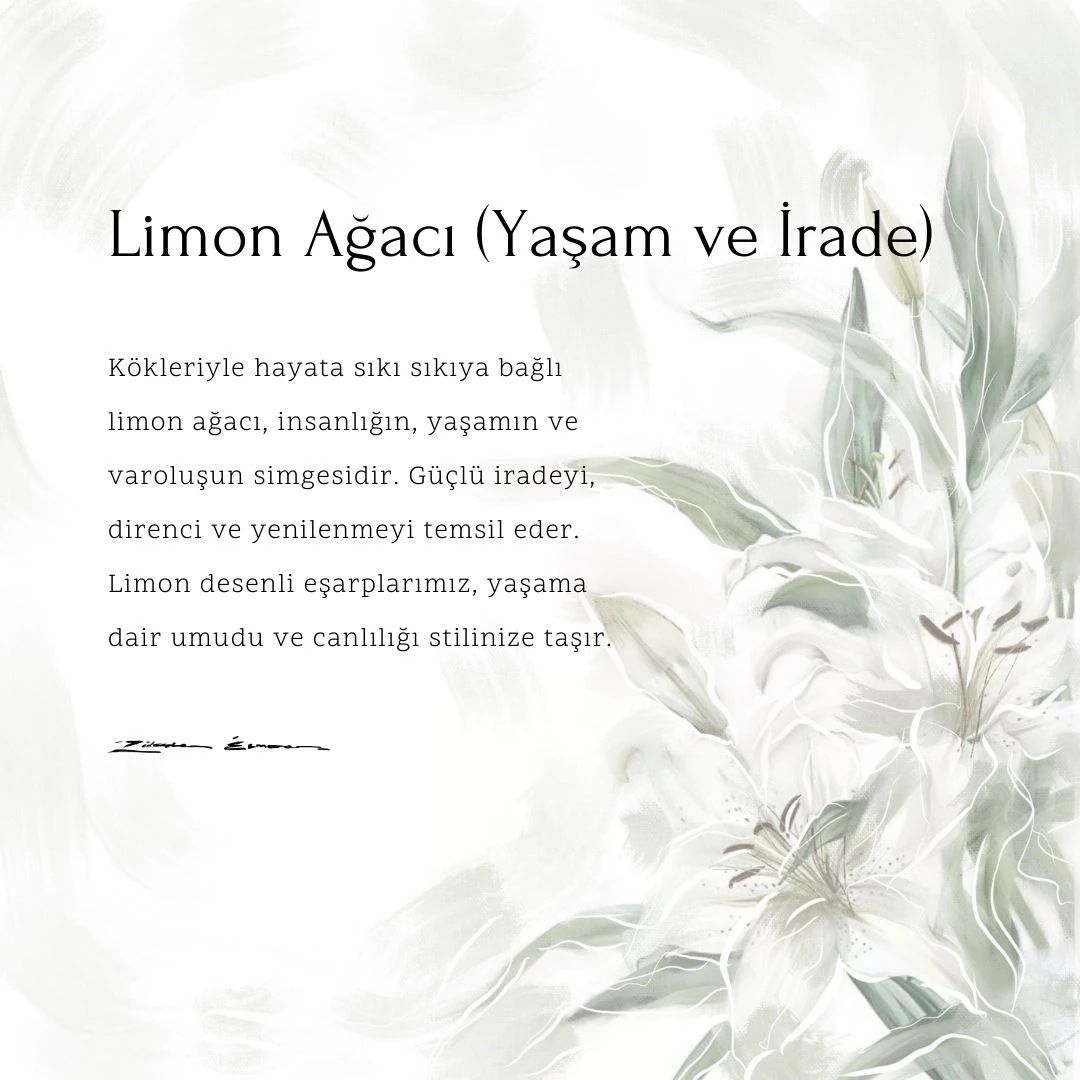 Açelya Aqua Green Silk Shawl