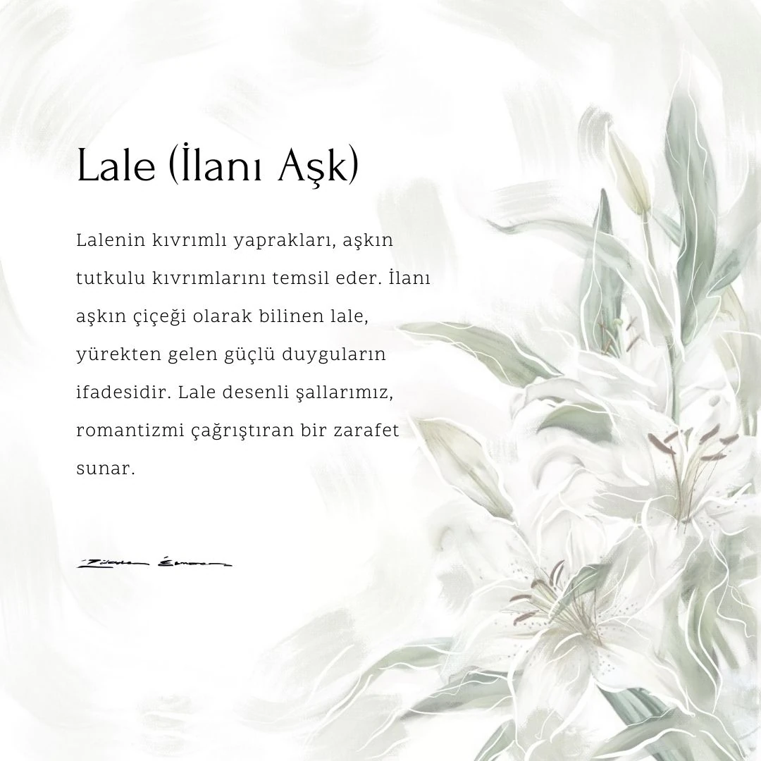 Lale Siyah Jakar Serisi