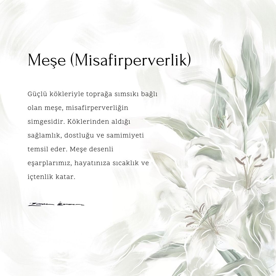 Meşe Pamuk Vual Şal