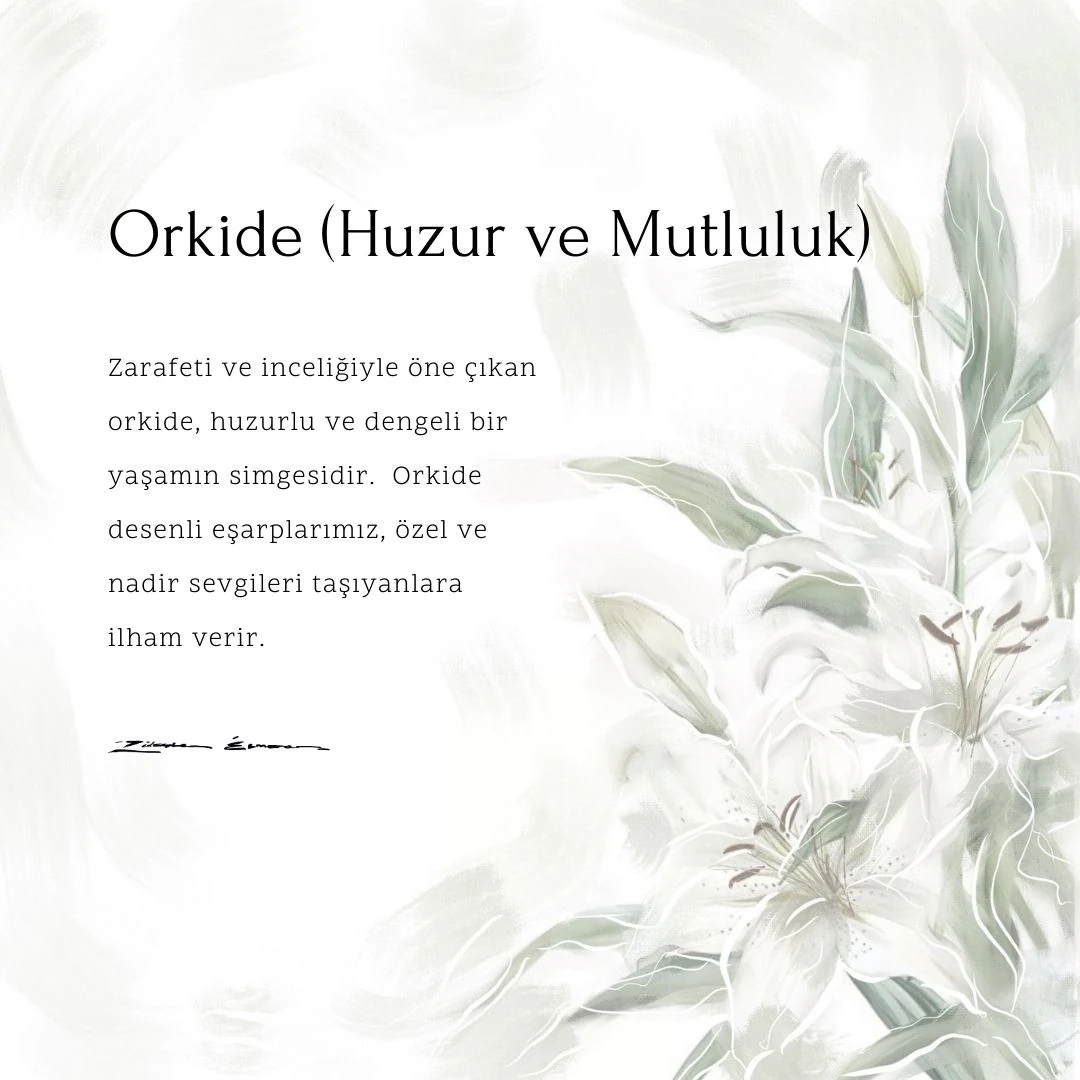 Orkide Bordo Jakar Serisi