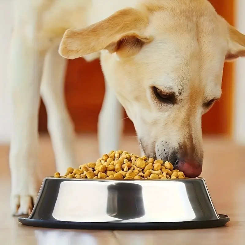  Yuvarlak Kaydırmaz Tabanlı Paslanmaz Çelik Kedi Köpek Mama Kabı 