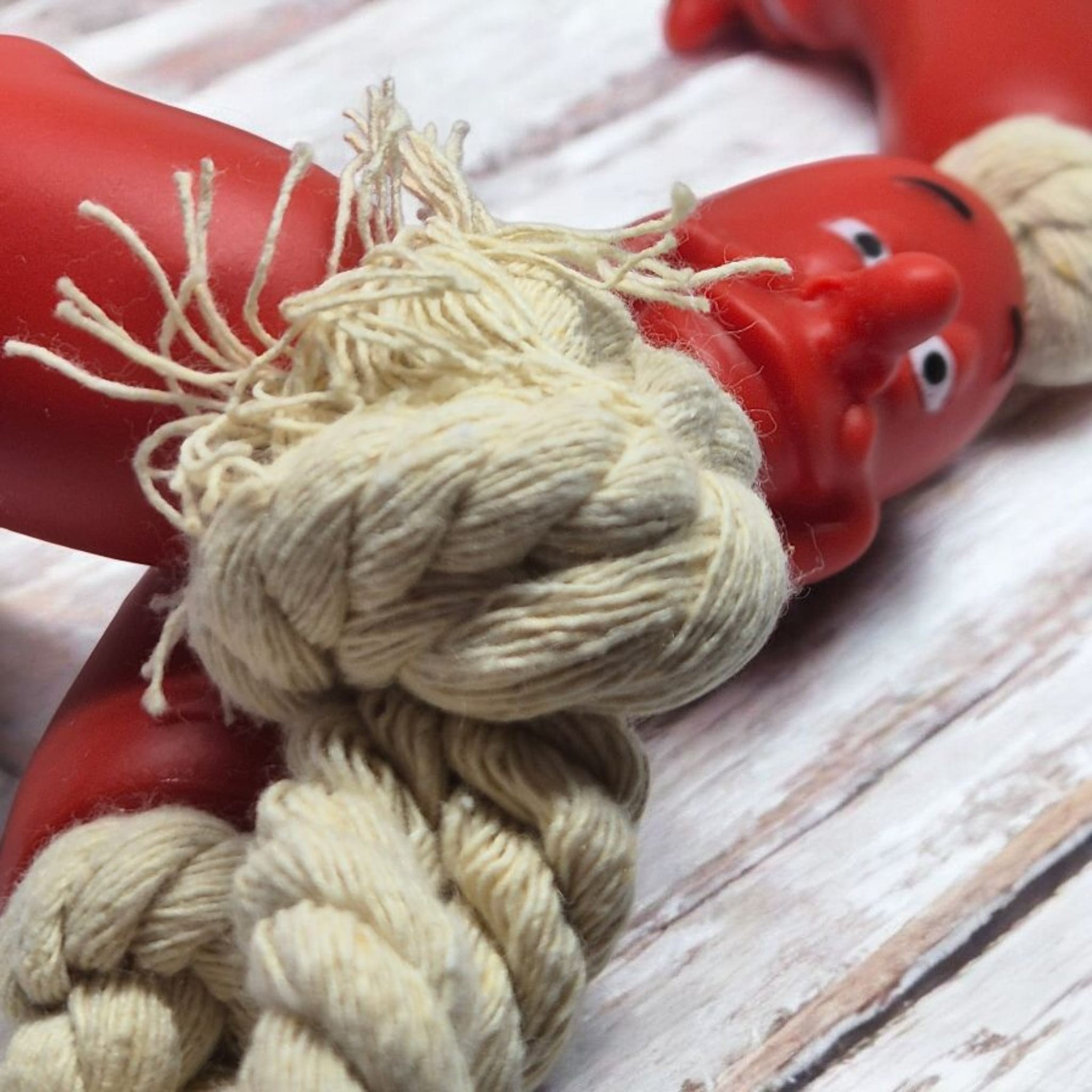 Köpekler Için Oyuncak Sosis