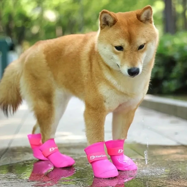 Silikon Köpek Botu (4 Adet Set) – Su Geçirmez, Kaymaz Tabanlı Konfor Bot (Pembe)