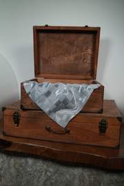 Dama
