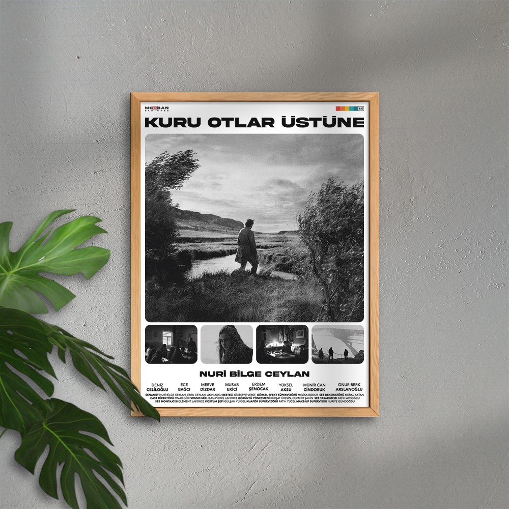 Kuru Otlar Üstüne