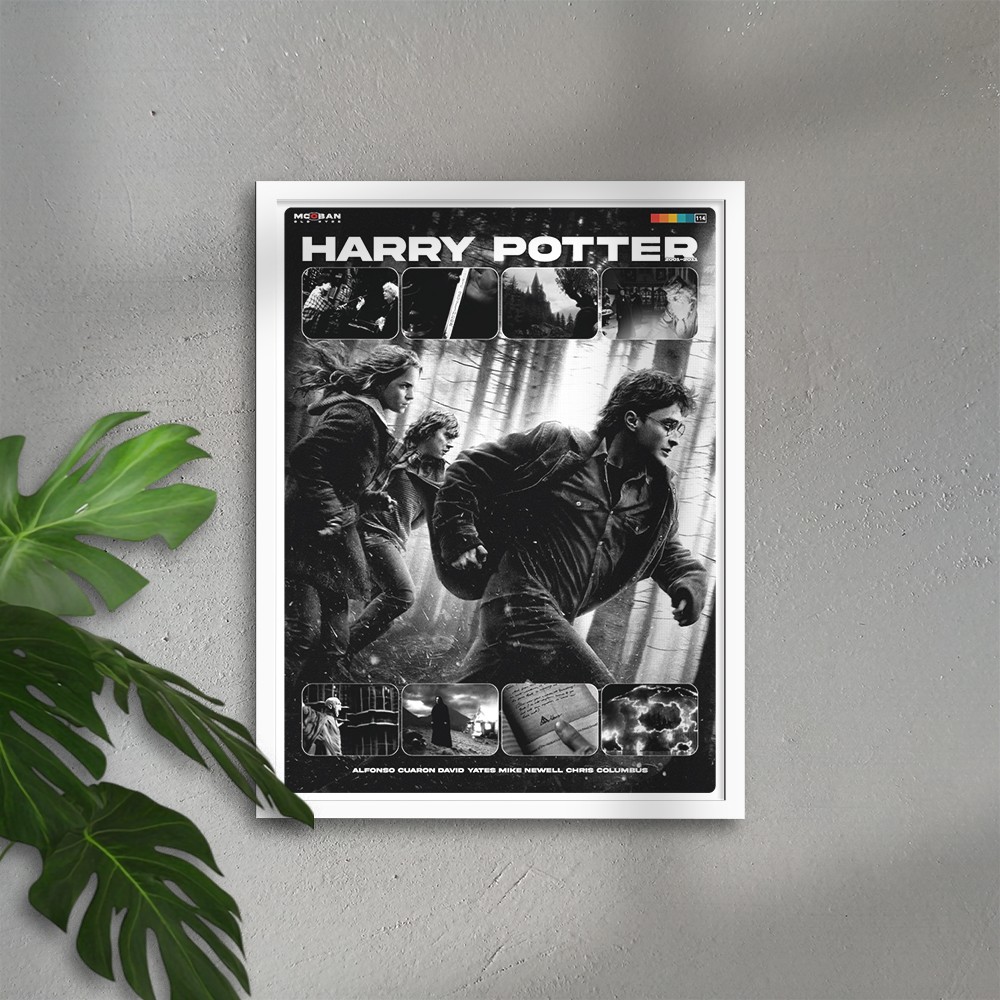 Harry Potter