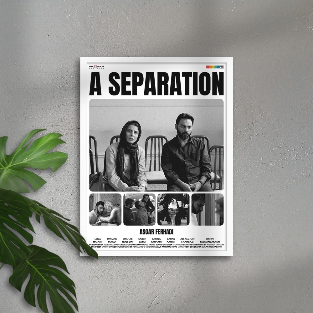 A Separation (Bir Ayrılık)