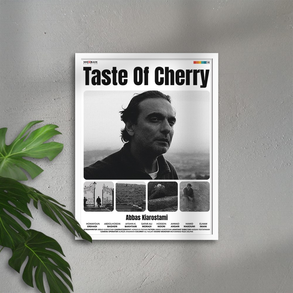Taste of Cherry (Kirazın Tadı)