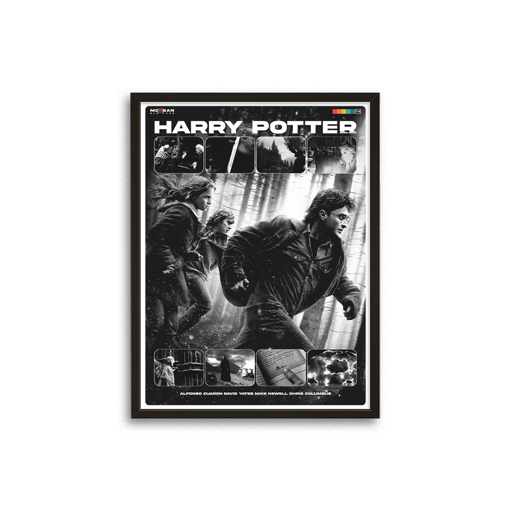 Harry Potter