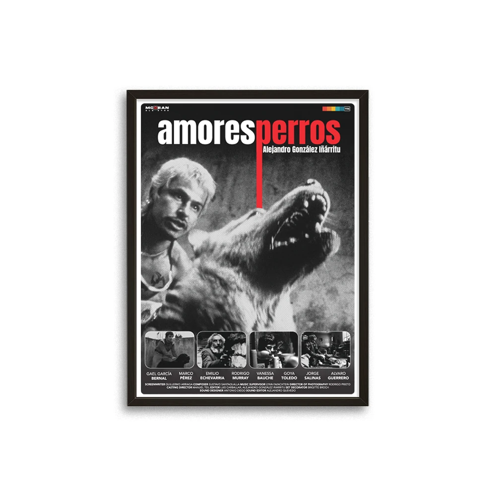 Amores Perros (Paramparça Aşklar Köpekler)