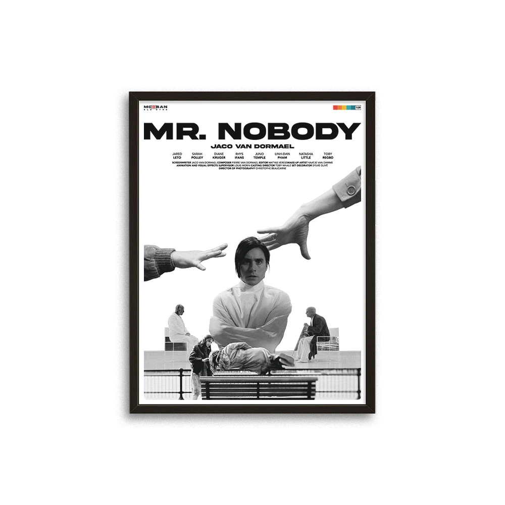 Mr. Nobody (Bay Hiçkimse)
