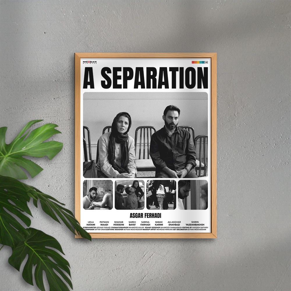 A Separation (Bir Ayrılık)