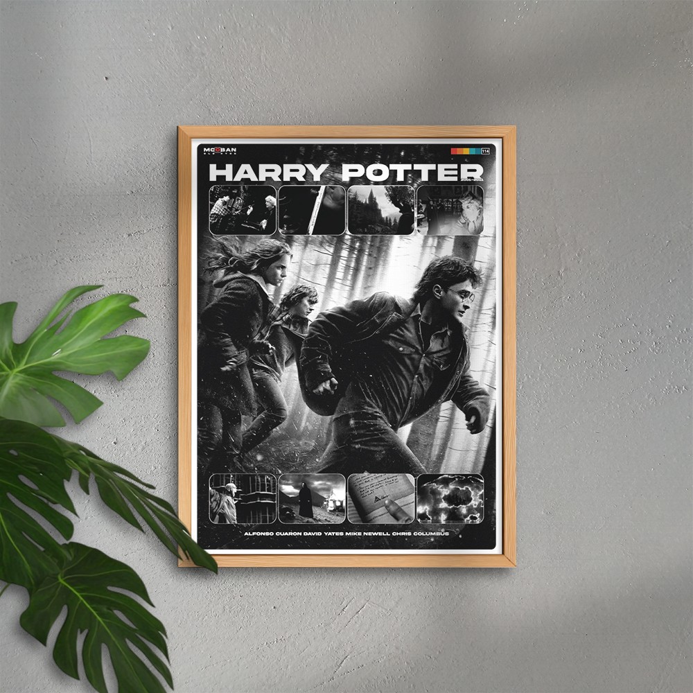 Harry Potter