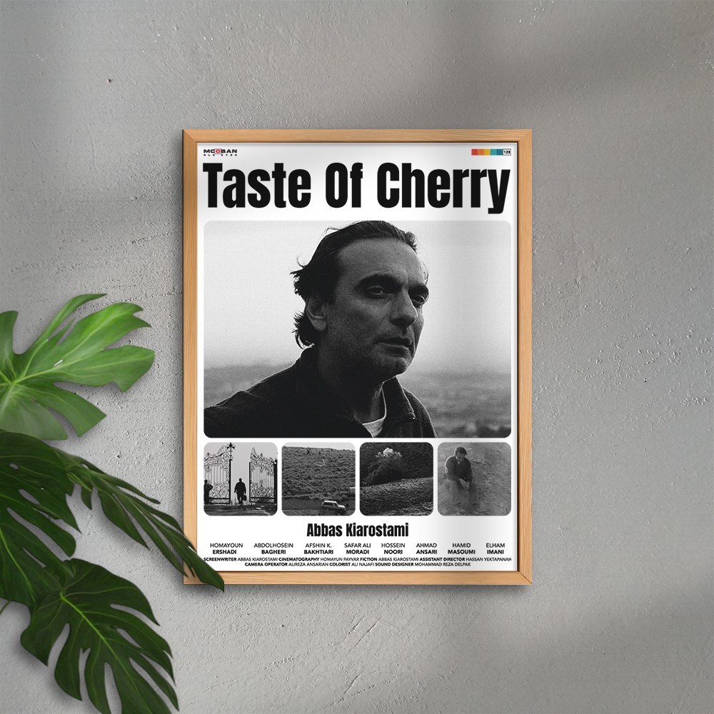 Taste of Cherry (Kirazın Tadı)
